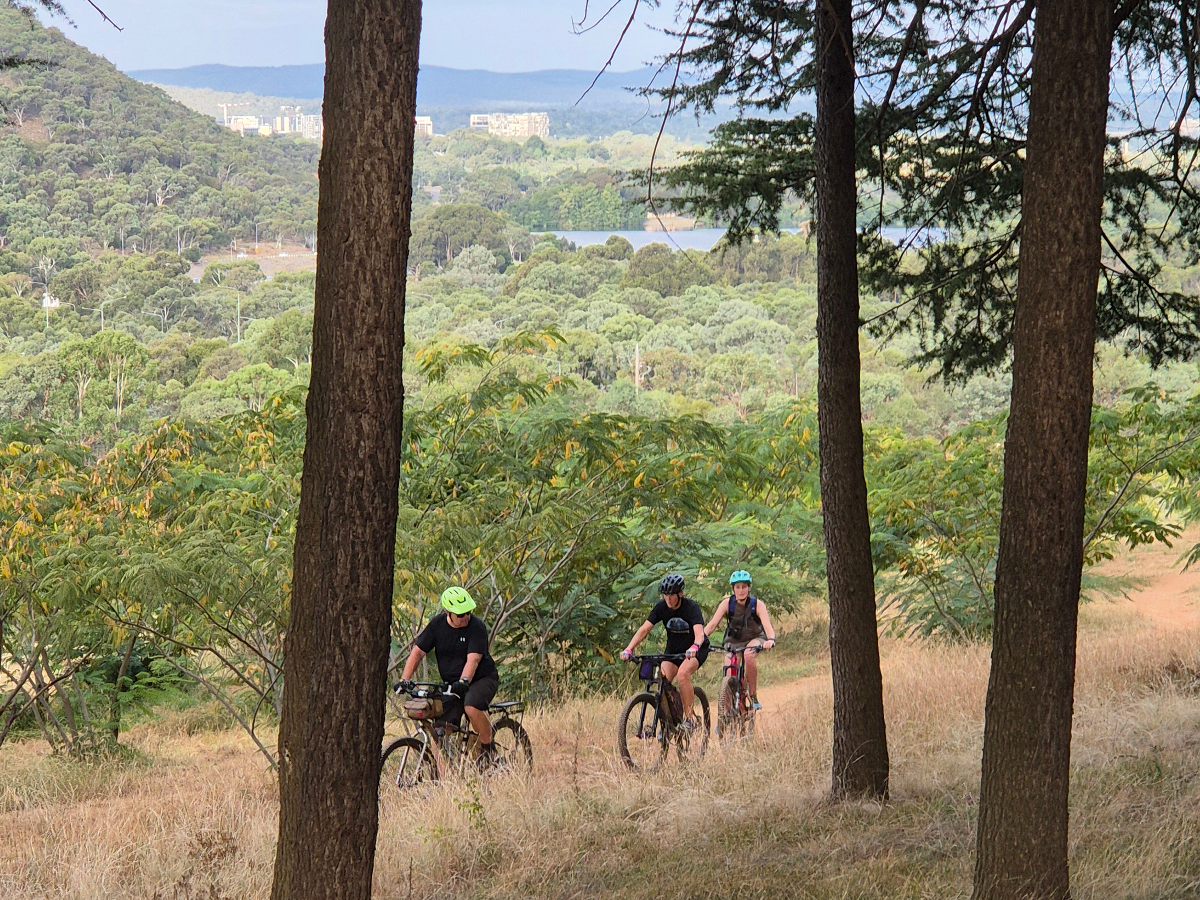 A view downhill in an arboretum with three bikers